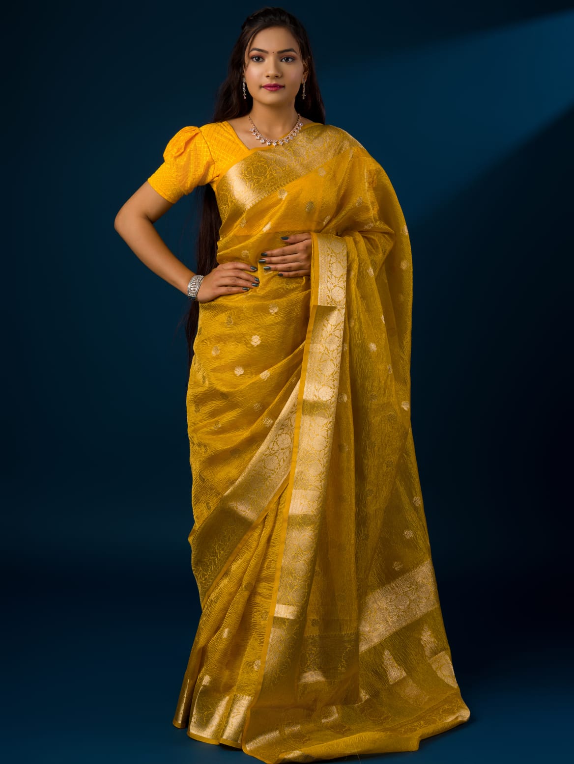 Tanmira New pure Banarasi Crush Tissue Handloom Zari Border Saree INA