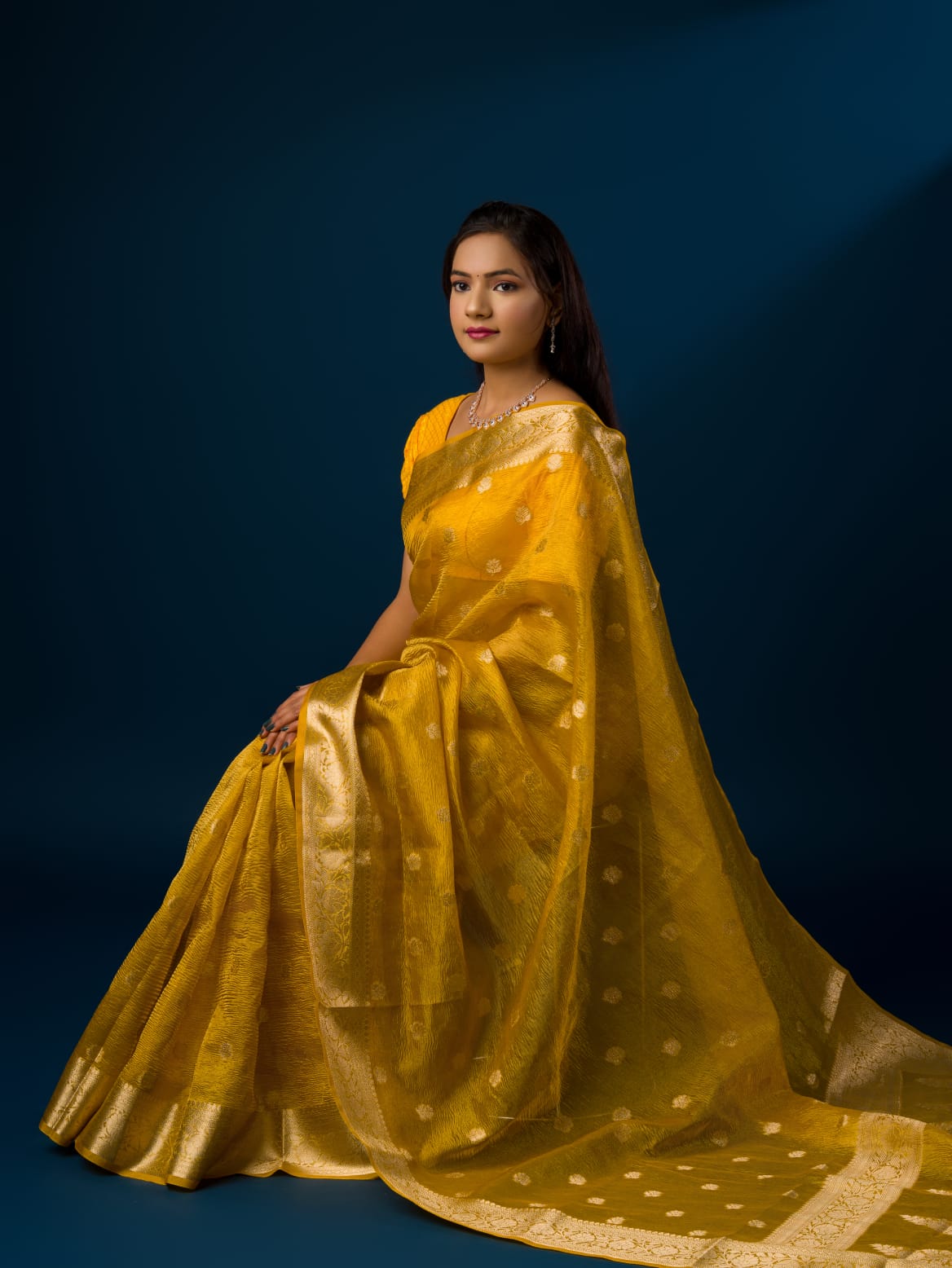 Tanmira New pure Banarasi Crush Tissue Handloom Zari Border Saree INA