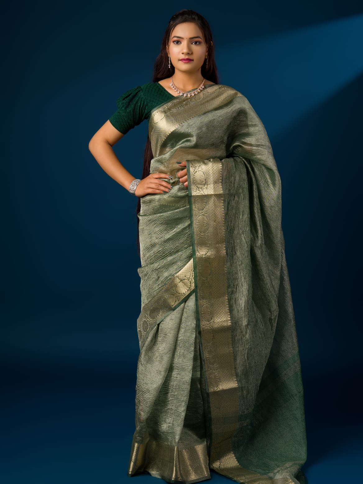 Tanmira New Tissue Silk Banarasi Handloom Zari Border saree INA