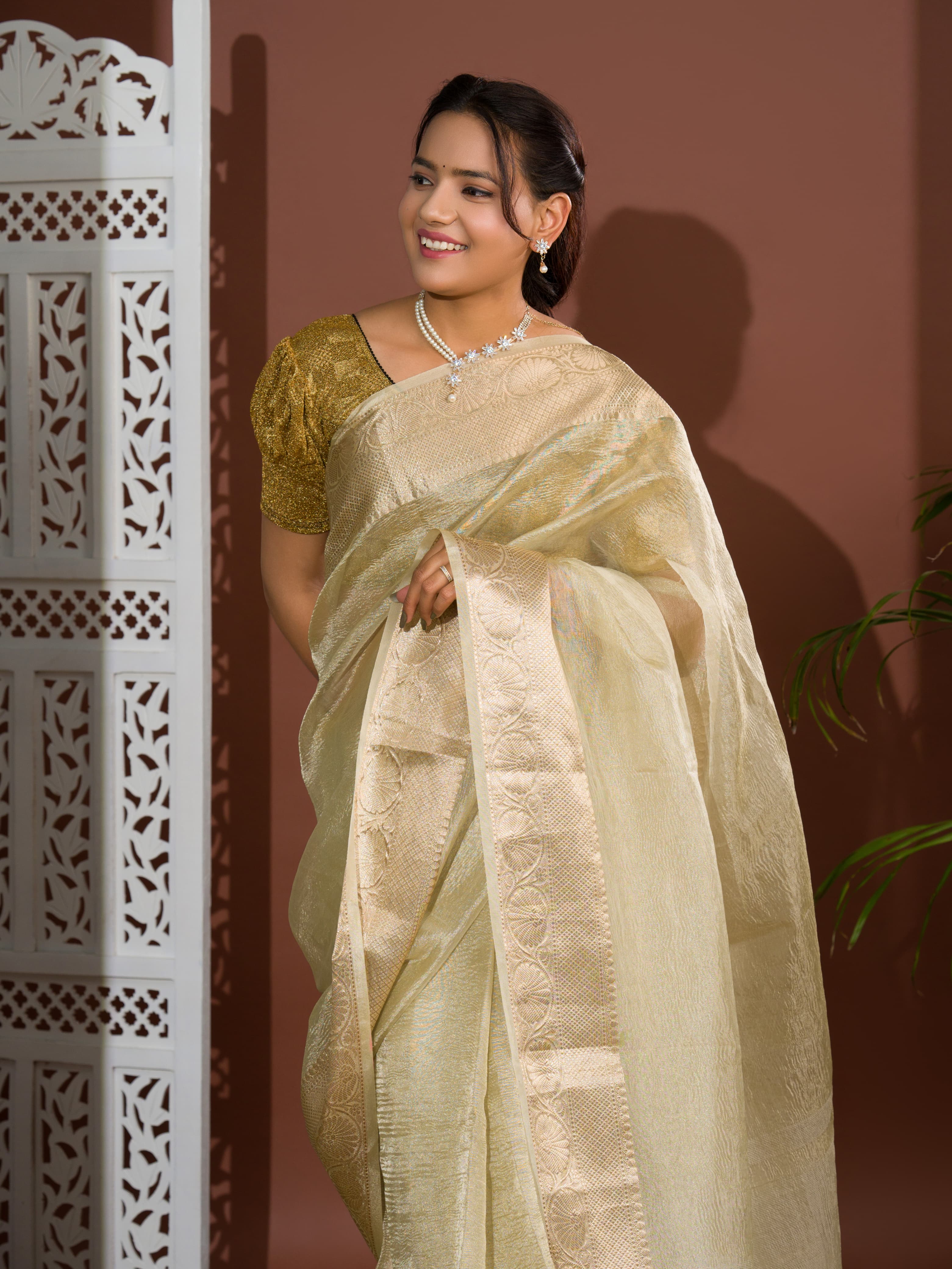 Tanmira pure Tissue Silk Banarasi Handloom Zari Border saree INA