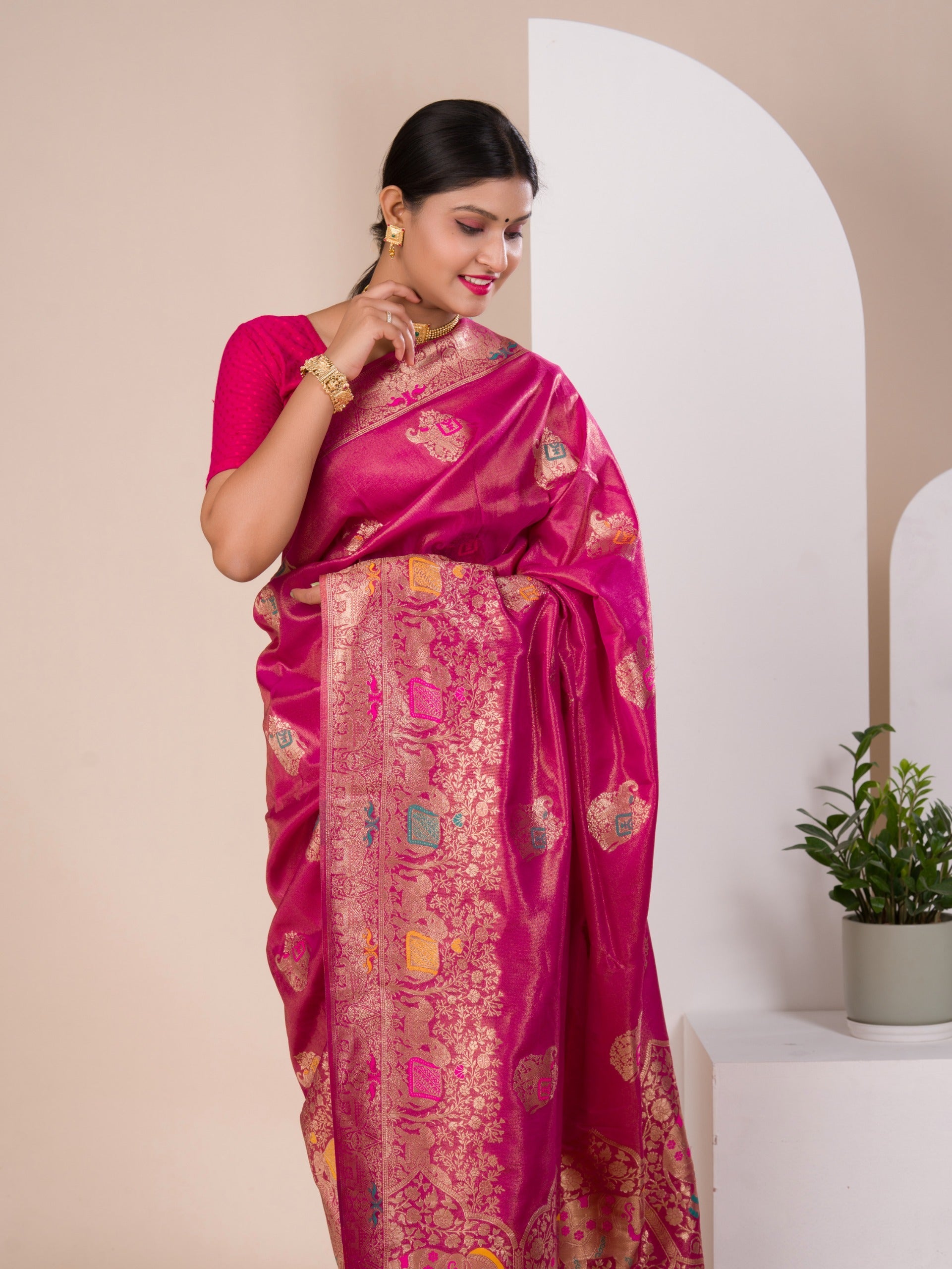 Tanmira New Tussar Silk Banarasi style With Meenakari weaving Saree DC