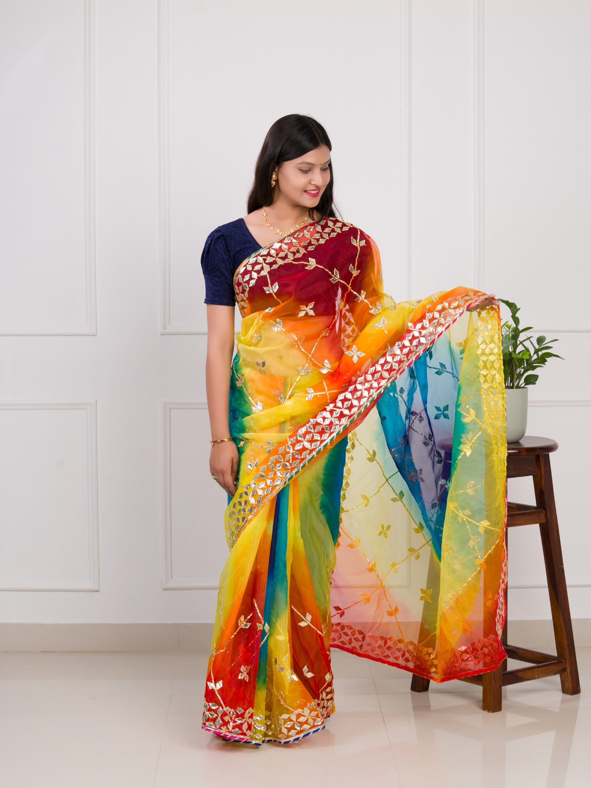 Tanmira Pure organza with beautiful gota patti saree MHS Multi 1