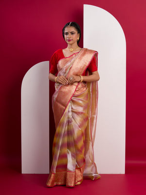 Banarasi Silk Bollywood Style With Tissue work Saree