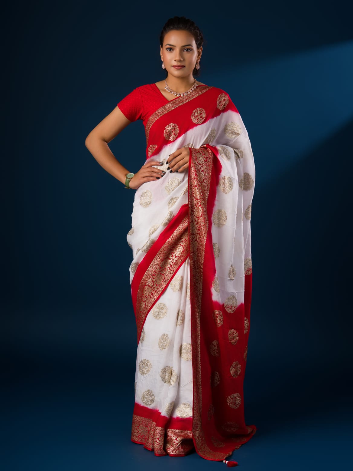 Tanmira Pure Georgette Zari Faag Shadded Saree RG