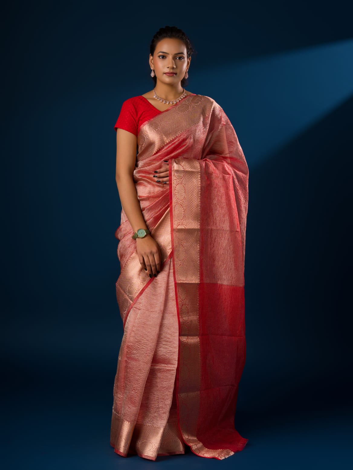 Tanmira Latest Pure Tissue Silk Banarasi Handloom Zari Border saree INA