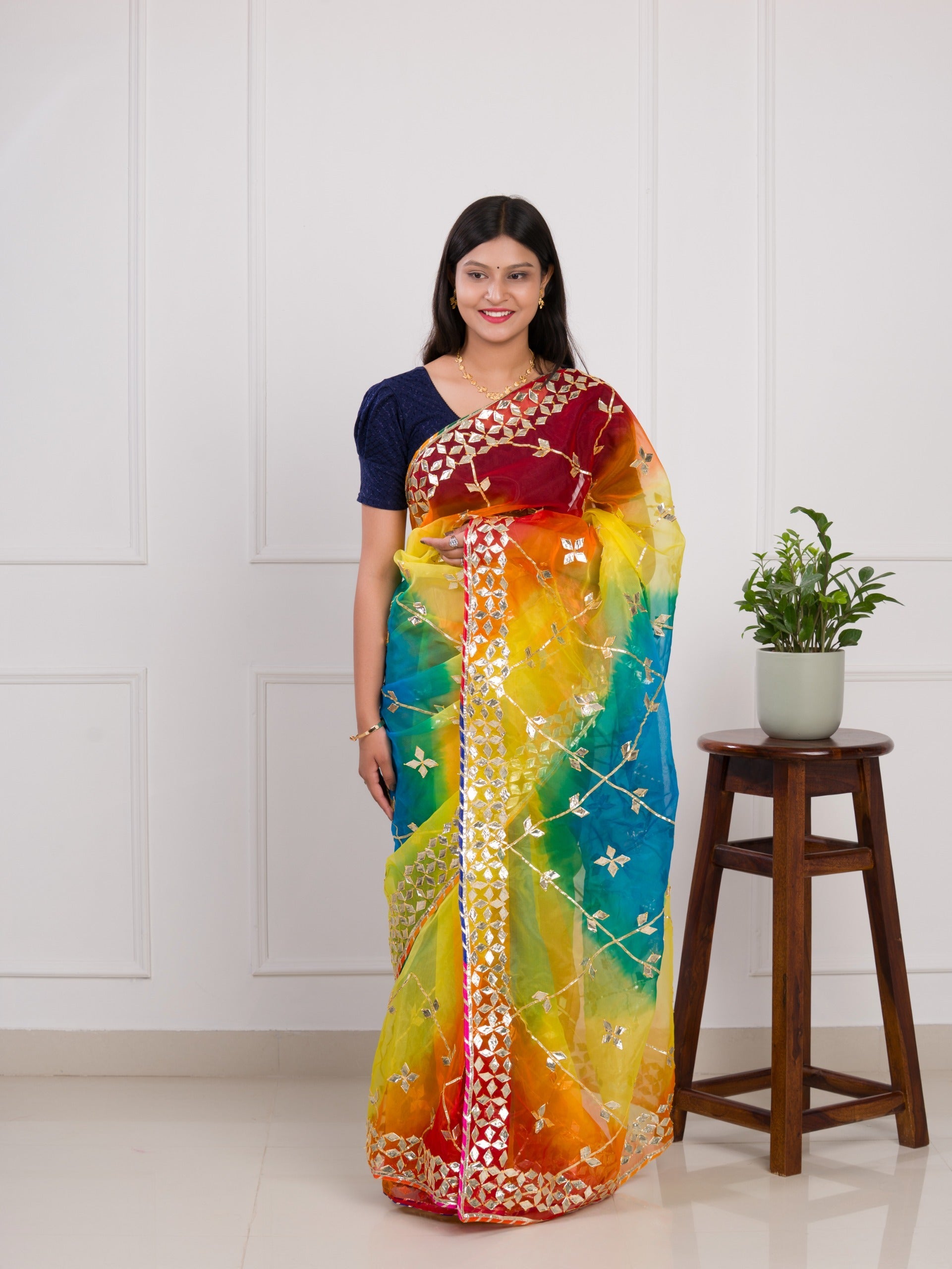 Tanmira Pure organza with beautiful gota patti saree MHS Multi 1