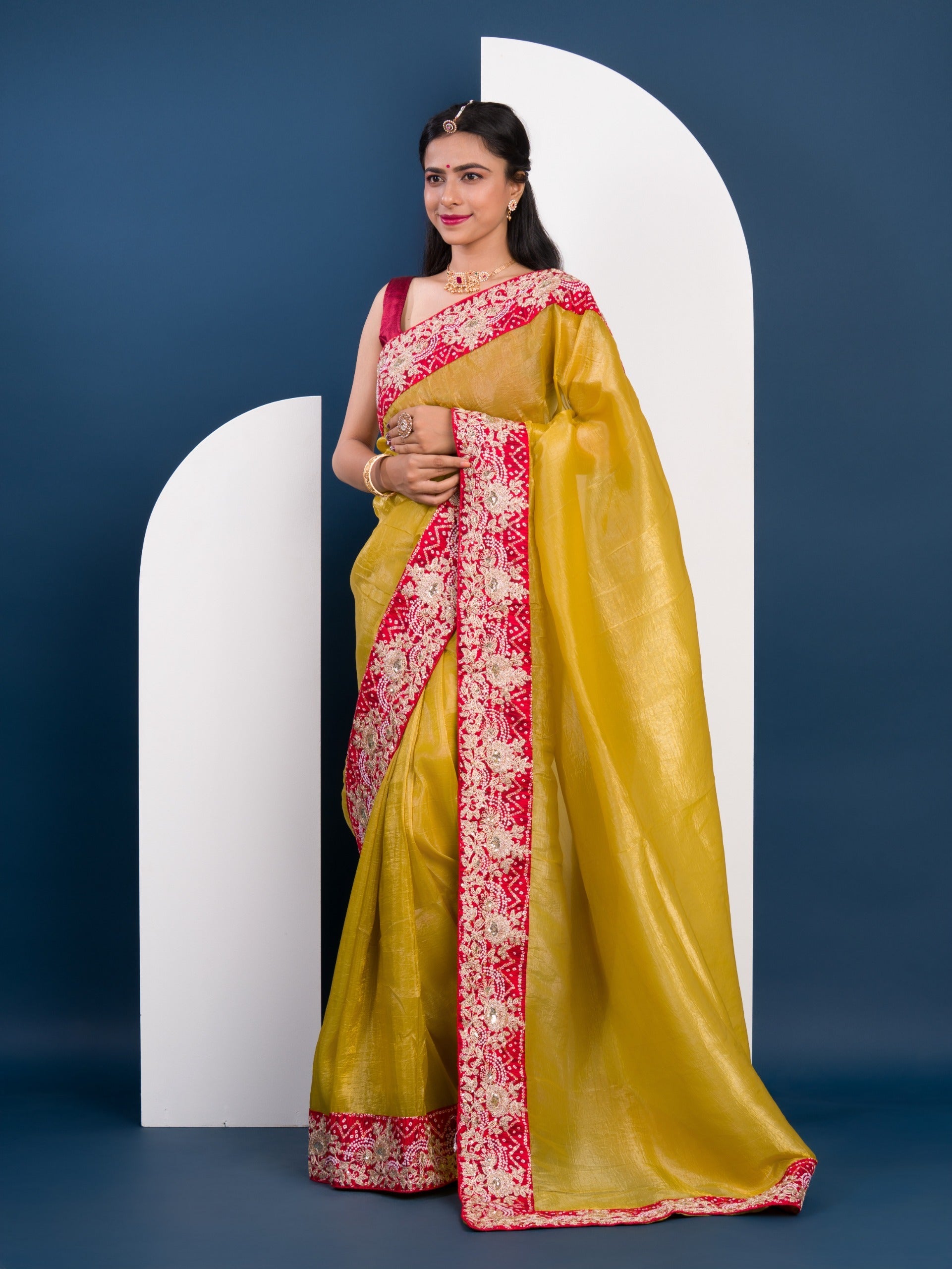Tanmira Pure Tissue Silk Bandhani Embroidery Work Saree  SNSM